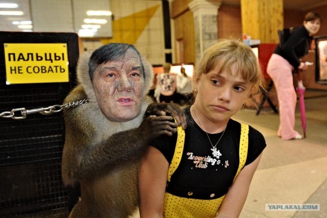 Фотожаба: Не совать!