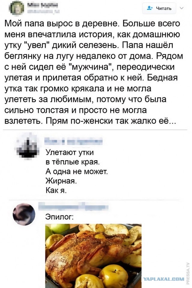 Комментарии из соцсетей