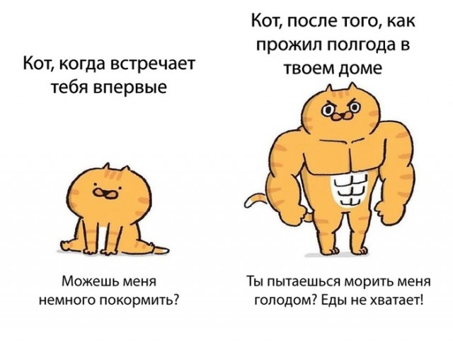 Картинки из недр интернета