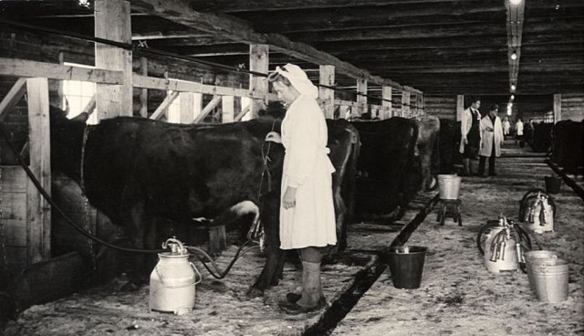 Люди из нашего прошлого. 1950 - 1955 годы
