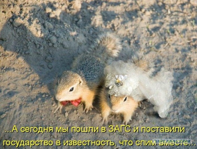 Ах эта свадьба....