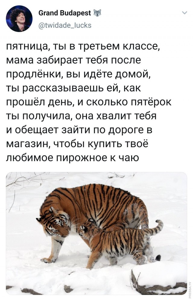 Бредзона 31.01.21