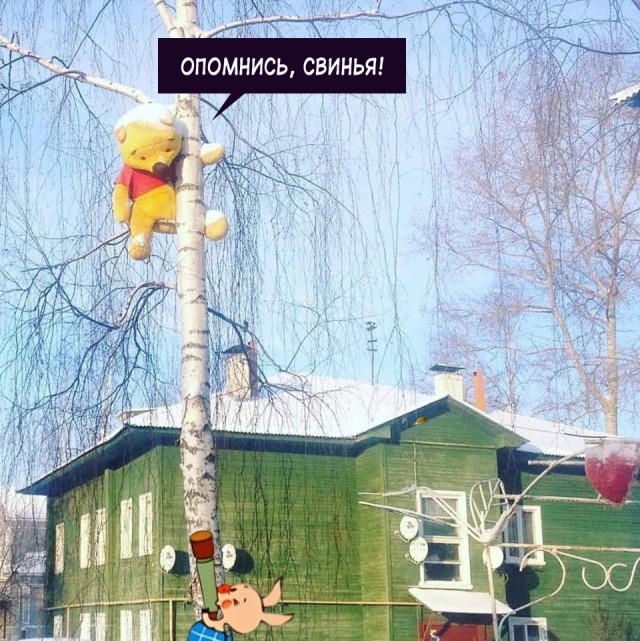 Картинки и мемы для настроения 019