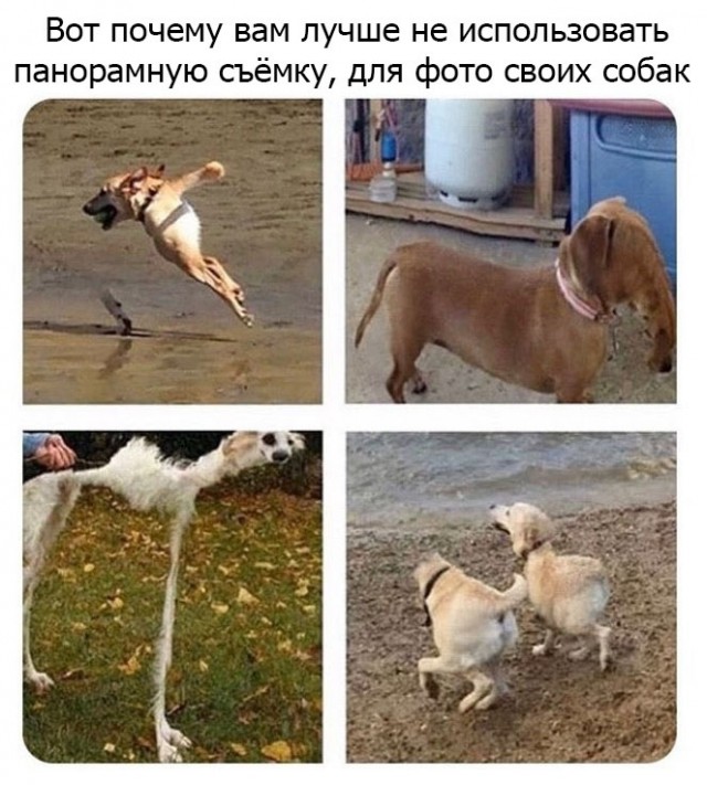 Картинки и мемы для настроения