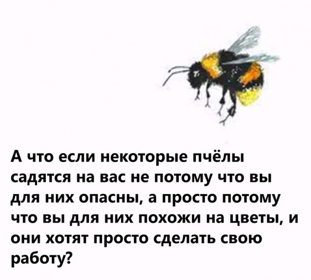 Весёлый полтишок 21.05