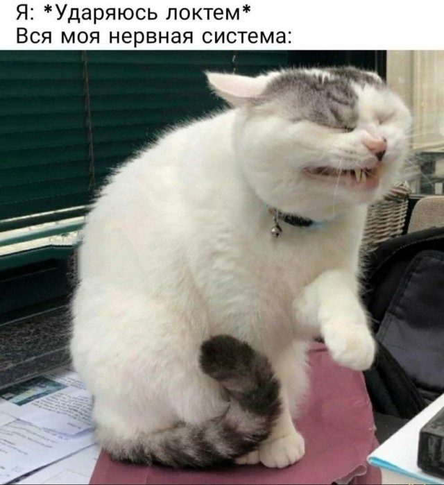 Так себе картинки 07.10.21