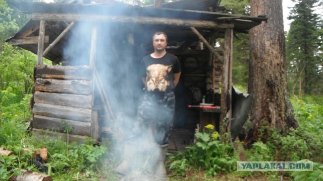 Можно ли выжить в Сибирской тайге?