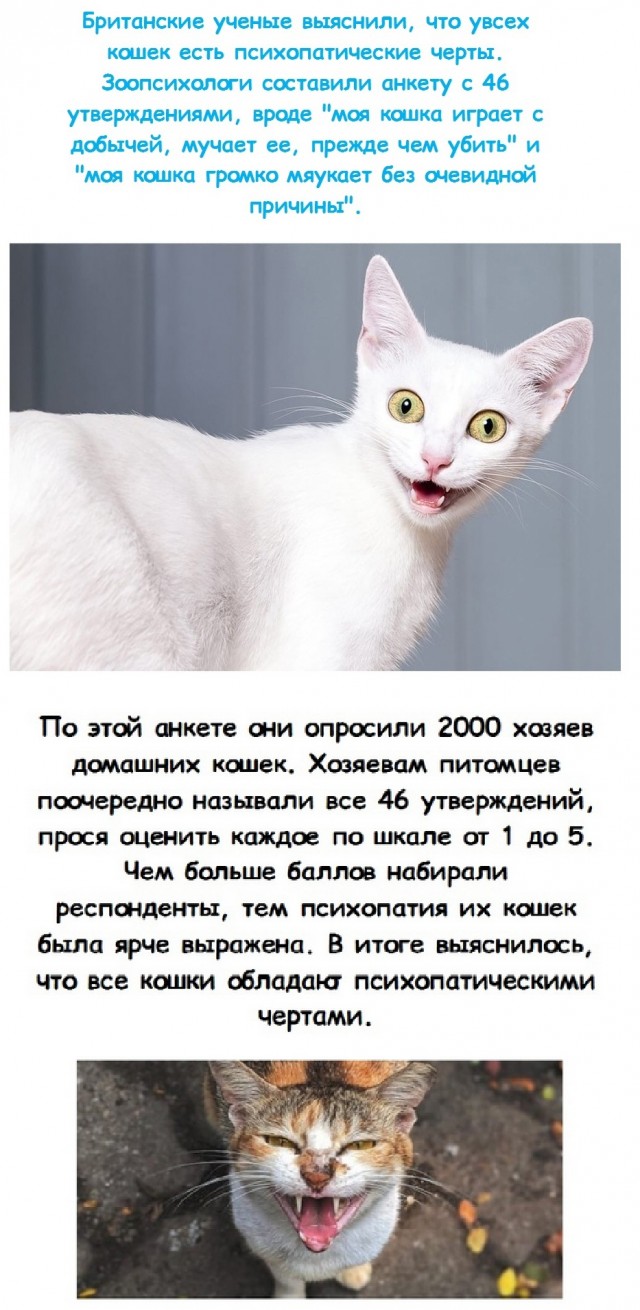 Чуток картинок 10.12.21