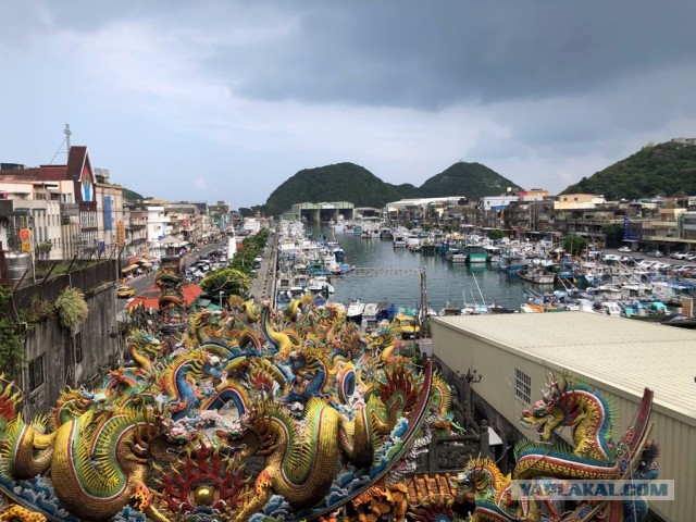 Люблю кальмаров:) и салат из них