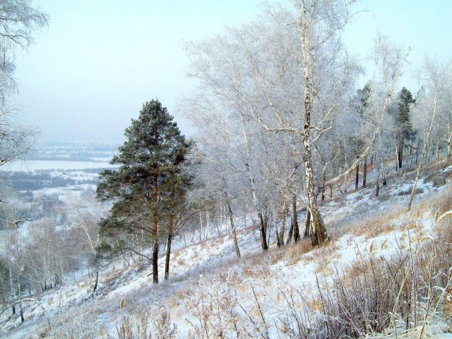 Зима в Сибири