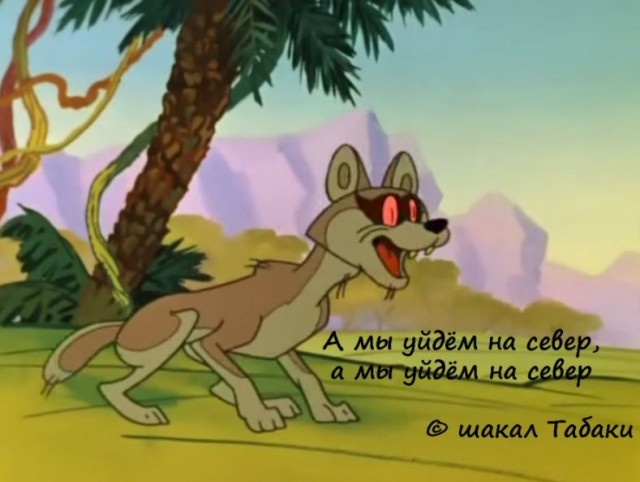 Блинкен отказался от встречи с Лавровым