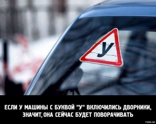 Какие же мужики спокойные
