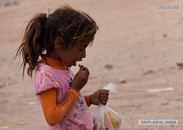 Синайские приключения. Шарм-эш-Шейх и окресности