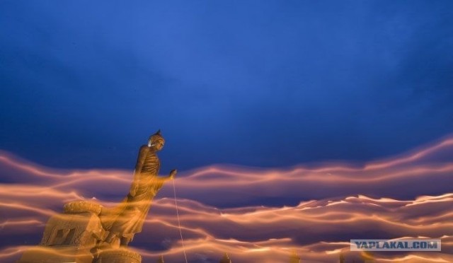 Лучшие фото 2008 года по версии Шпигель