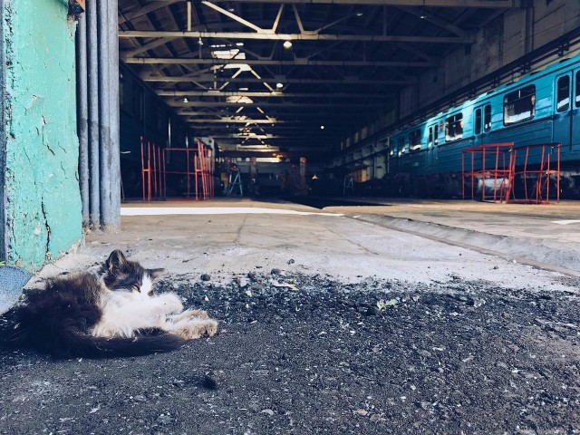 Рабочая смена электродепо "Планерное"