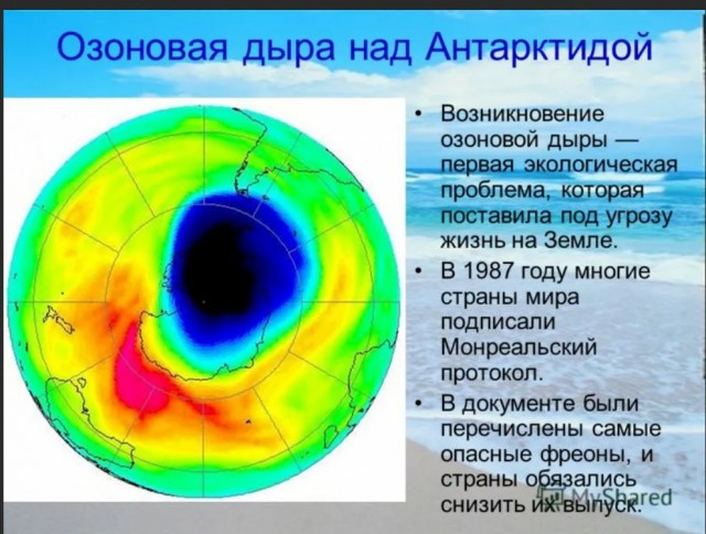 Победная поступь идиотизма по планете – том 13