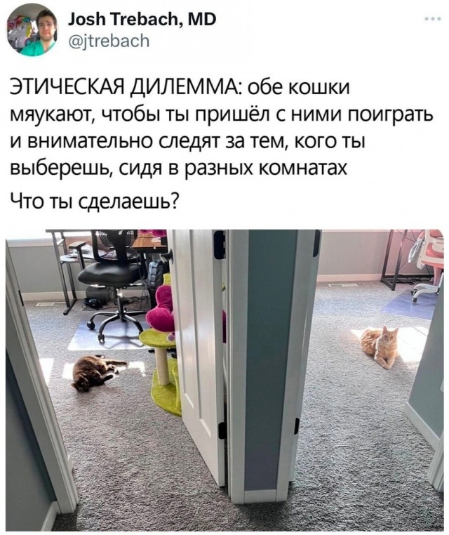 Так себе картинки 02.06.23