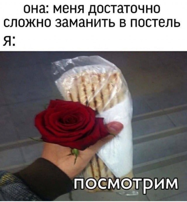 Весёлый полтишок 04.08.23