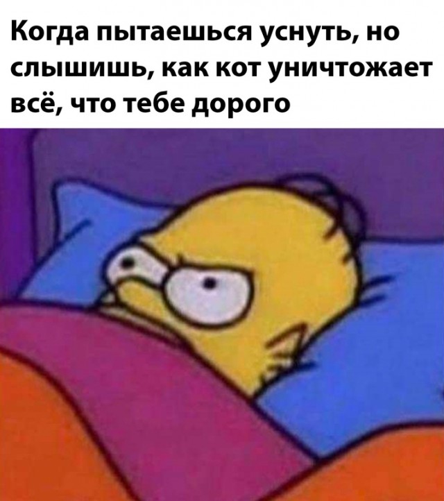 Весёлый полтишок 12.11.23