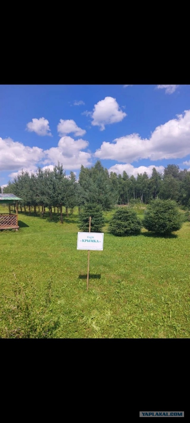 Из Москвы в деревню навсегда