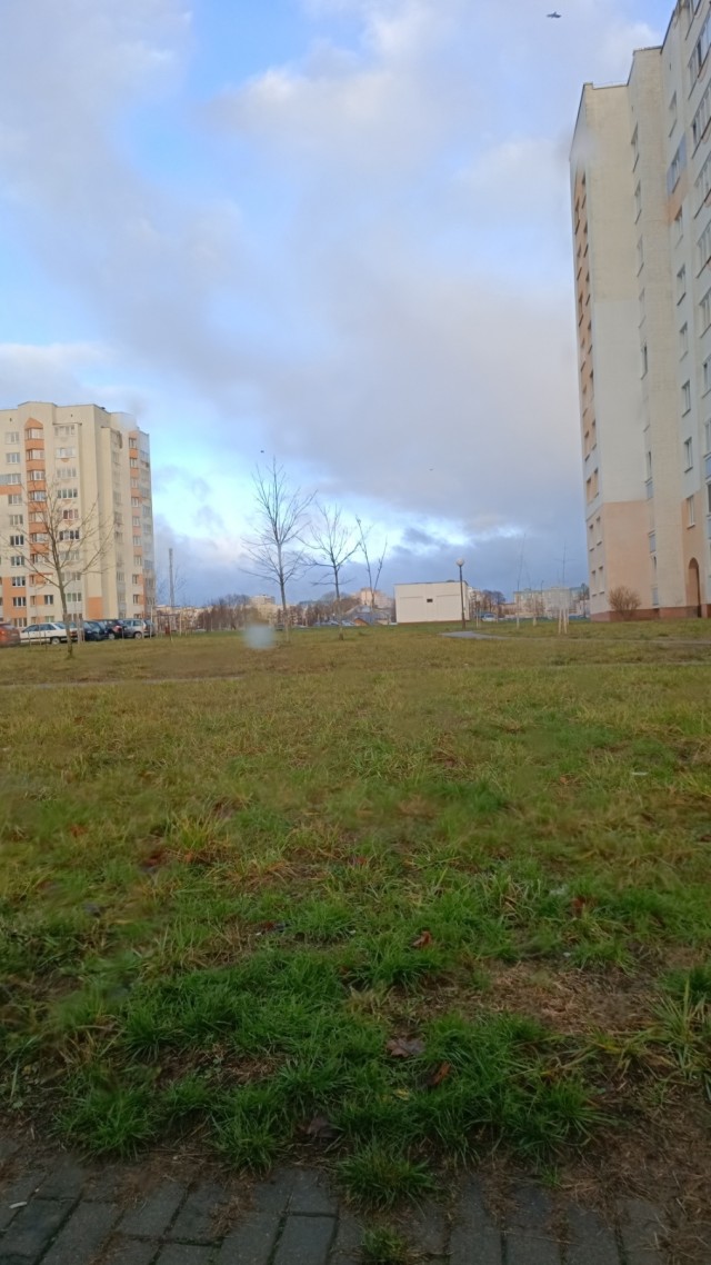 Зимняя красота