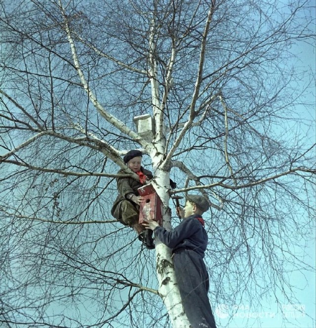 Фотографии из прошлого нашей страны - 51