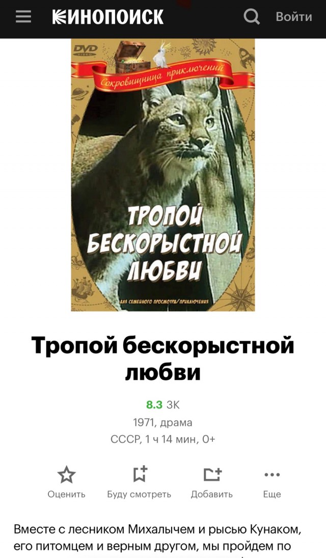 Девушка случайно нашла детеныша рыси, когда выгуливала собаку и решила забрать ее себе домой