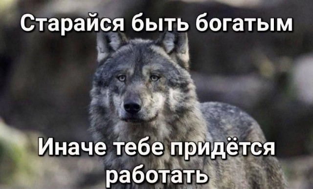 Забавные комментарии из социальных сетей (18.03.24)