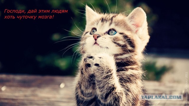 Рыбачили? Отдыхали на берегу? Забудь!