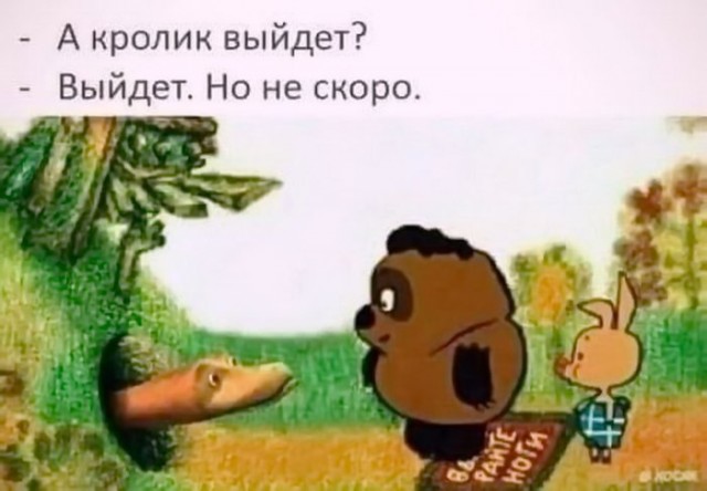Медведь-мародёр выломал окно и залез в инспекторский домик