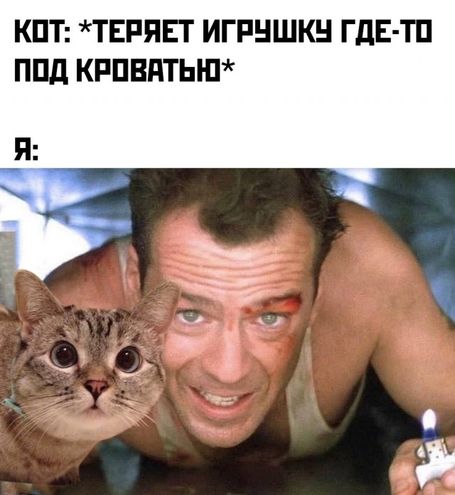 Весёлый полтишок 02.07.24
