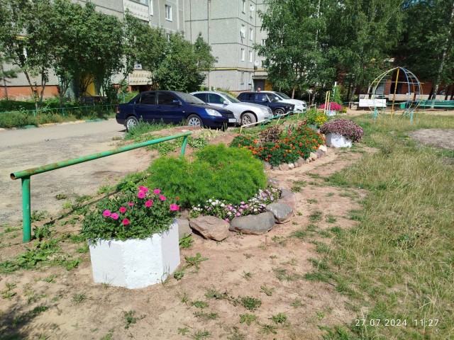 Клумба во дворе 2024 лето