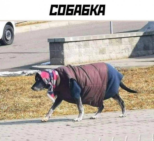 Картинки разные с надписями и без
