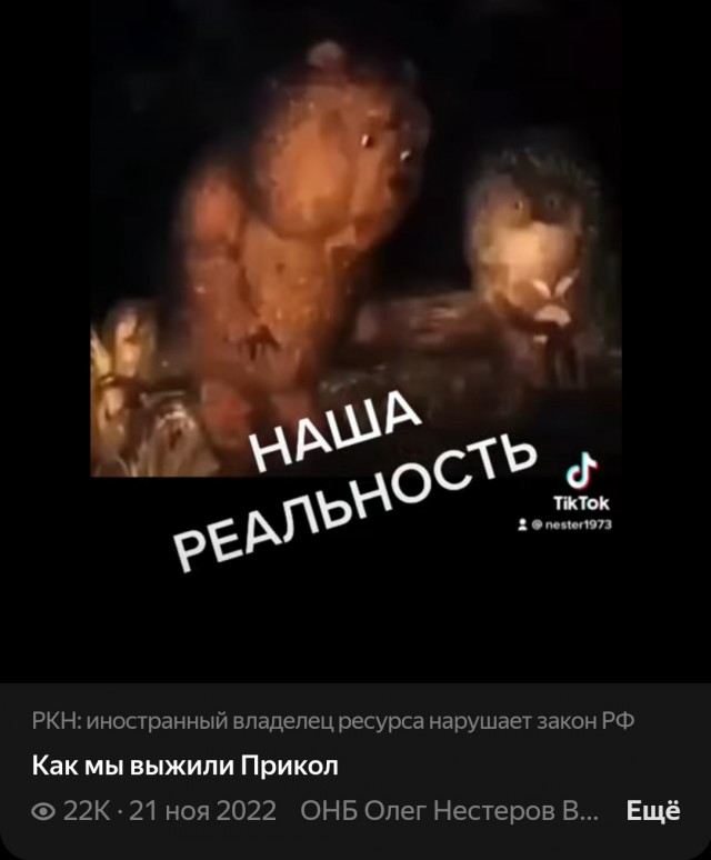 Медвежонок цитирует ЯП