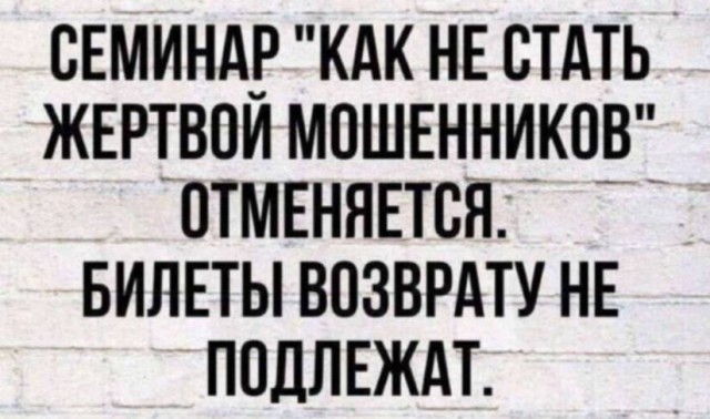 Весёлый полтишок 06.11.24