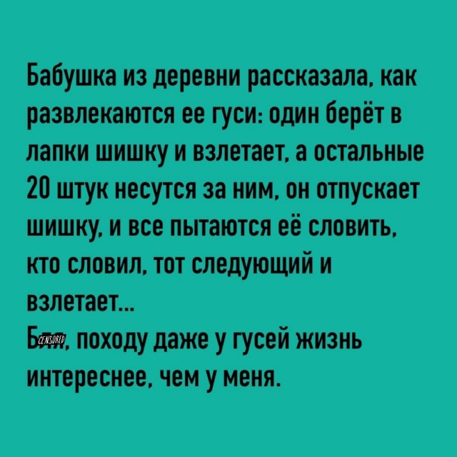 Так себе картинки 23.11.24