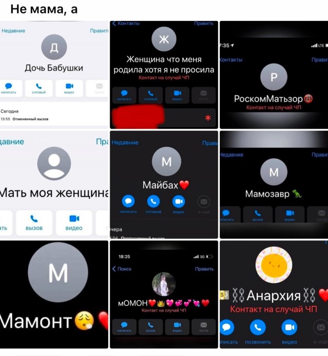 Весёлый полтишок 06.12.24