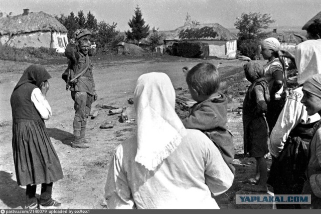 Они сражались за Родину. Фотонаследие Семена Осиповича Фридлянда.