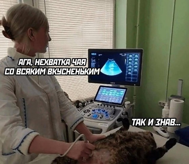 Завалялось тут случайно немного забавных картинок