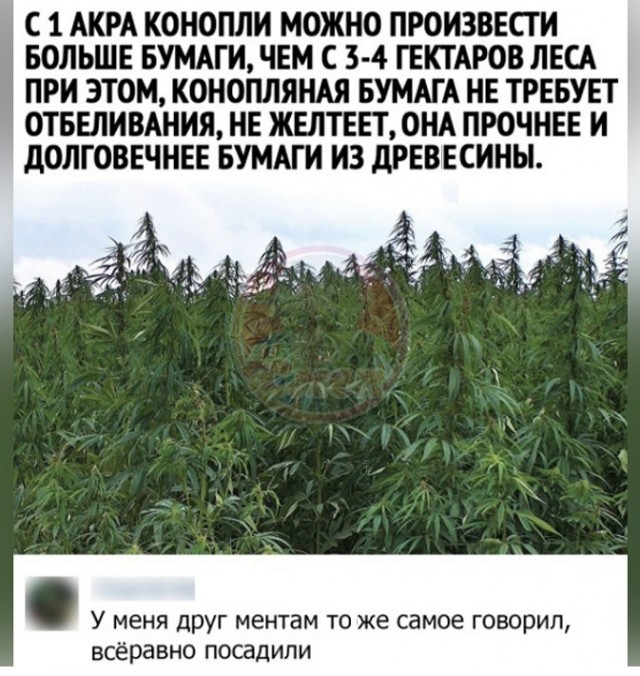 Картинки разные с надписями и без