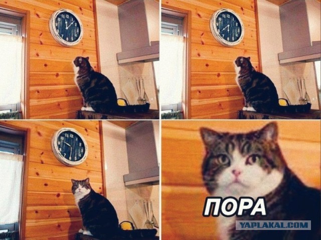 Нас просто надули
