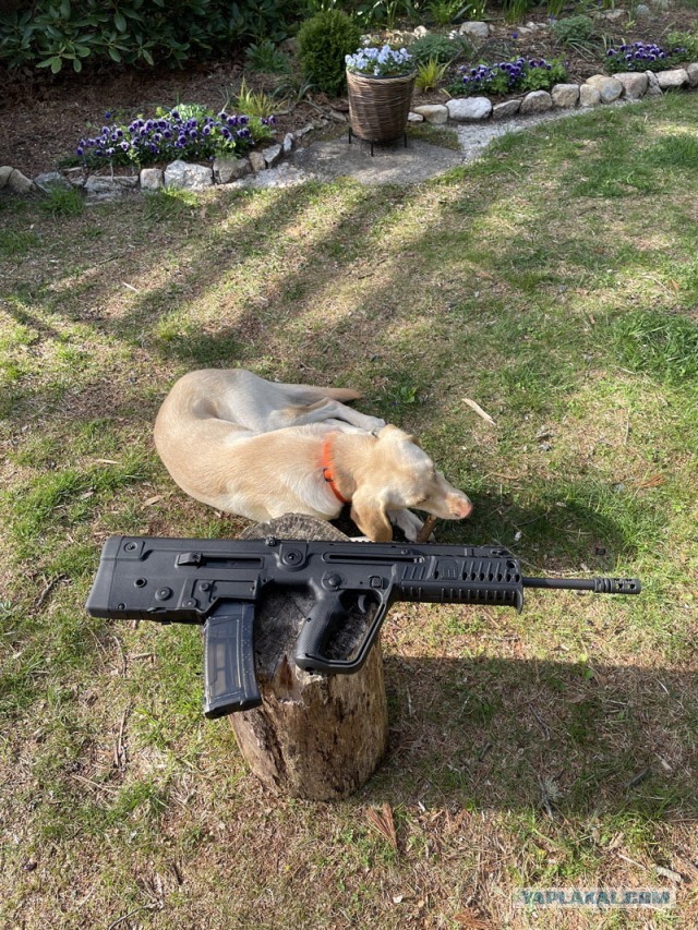Винтовка Tavor X95