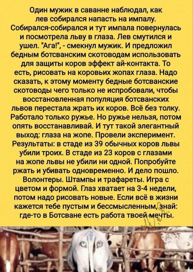 Завалялось тут случайно немного забавных картинок
