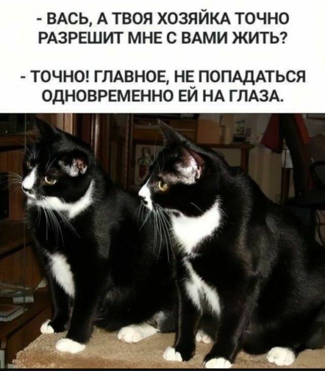 Так себе картинки 04.07.25