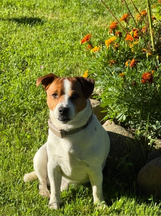 Мой сабакочетверг