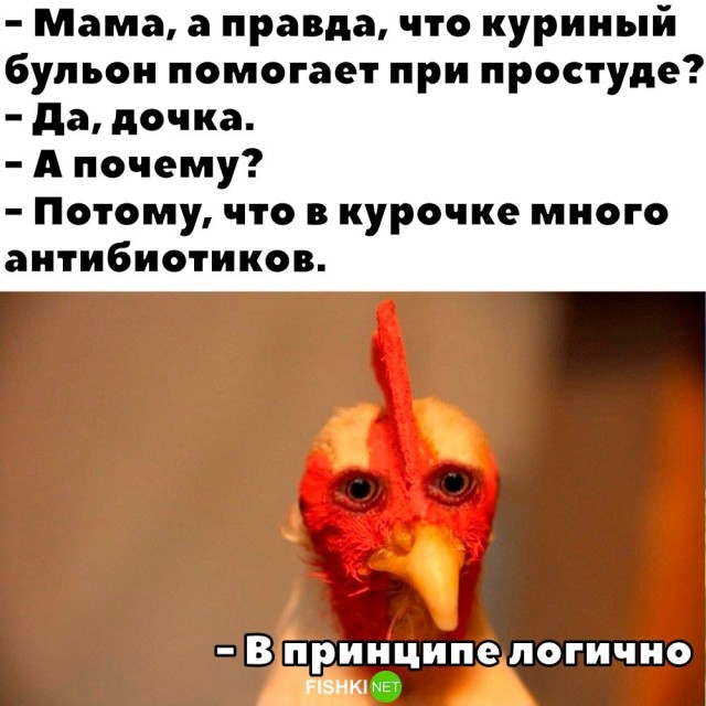 Картинки для деградации 132 (разной степени свежести)