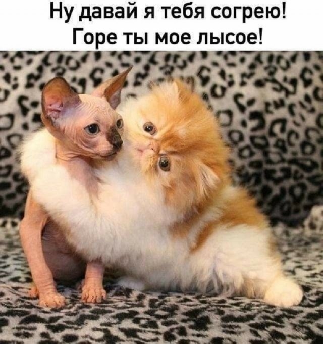 Так себе картинки 08.02.26