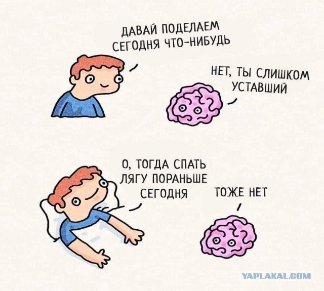 Картинки для деградации 137 (разной степени свежести)