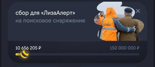 «В итоге пострадают те, кого мы ищем, — дети»
