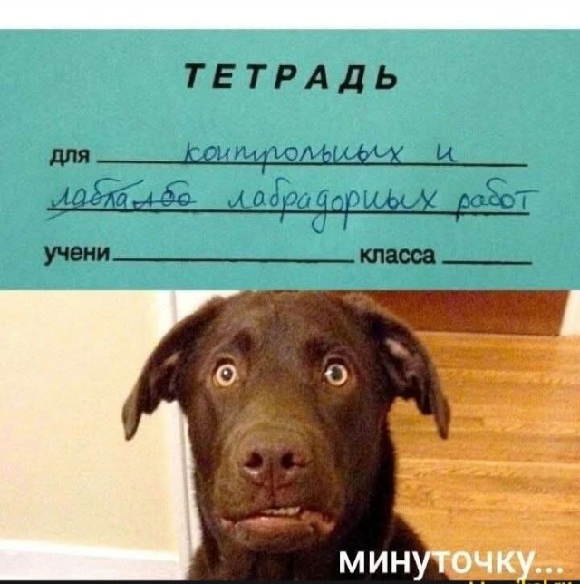 Так себе картинки 08.05.26